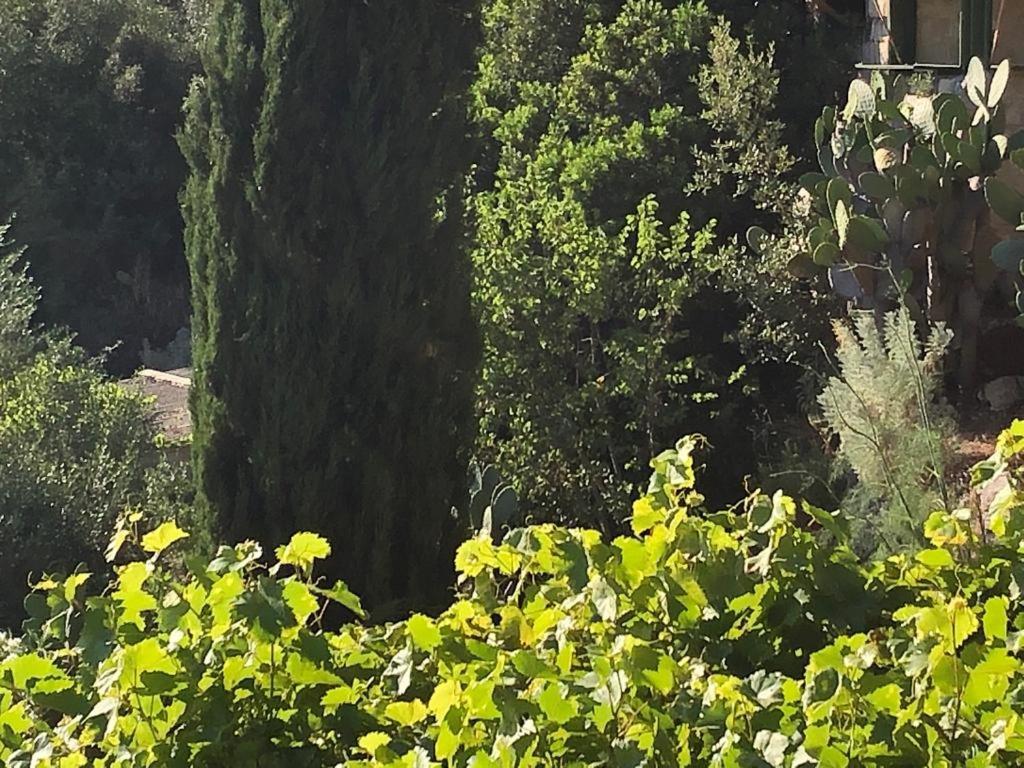 Vistalago Garden Doria Monteleone Rocca Doria Exterior foto